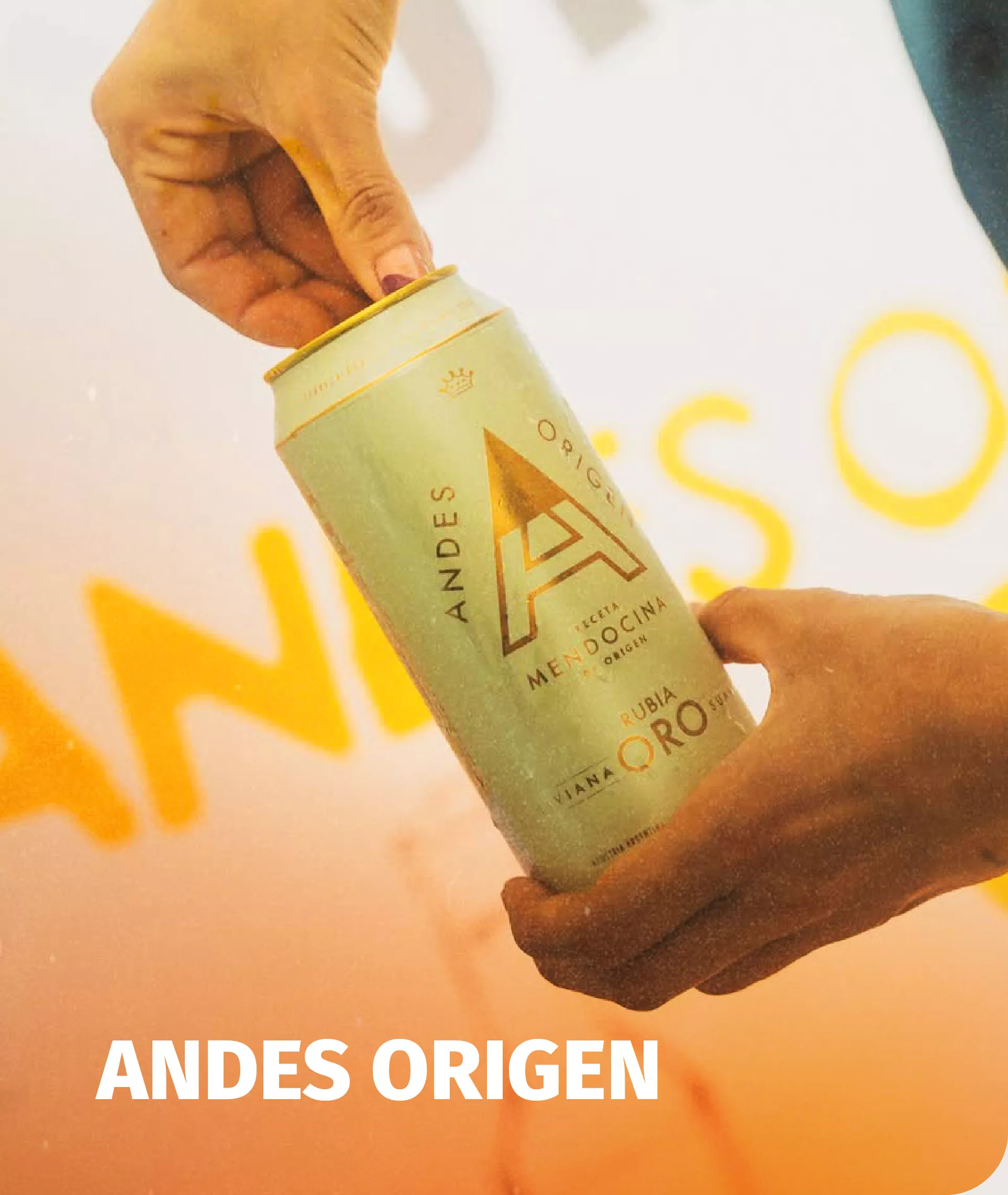 Andes origen