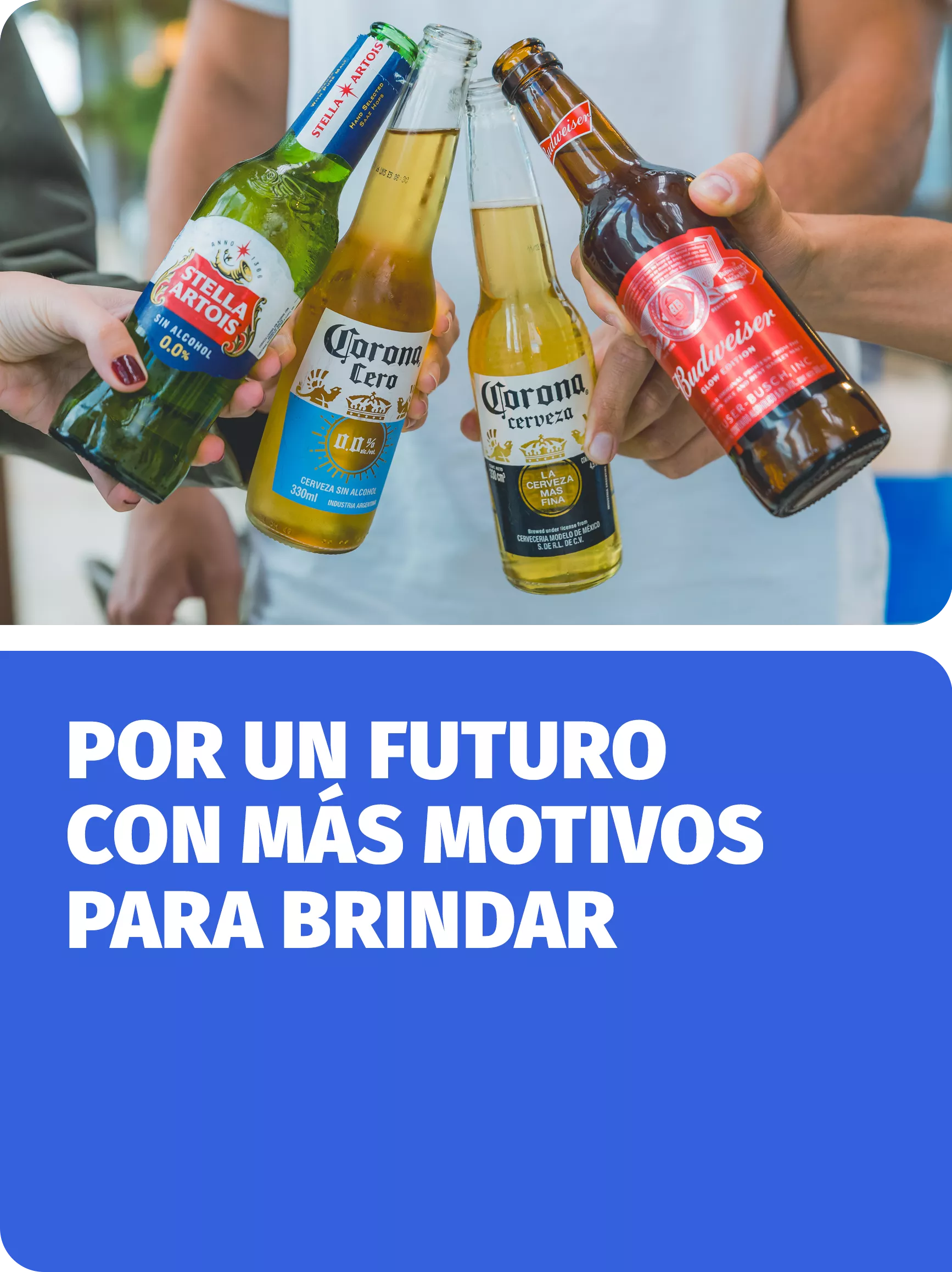 Cervecer&iacute;a y Malter&iacute;a Quilmes