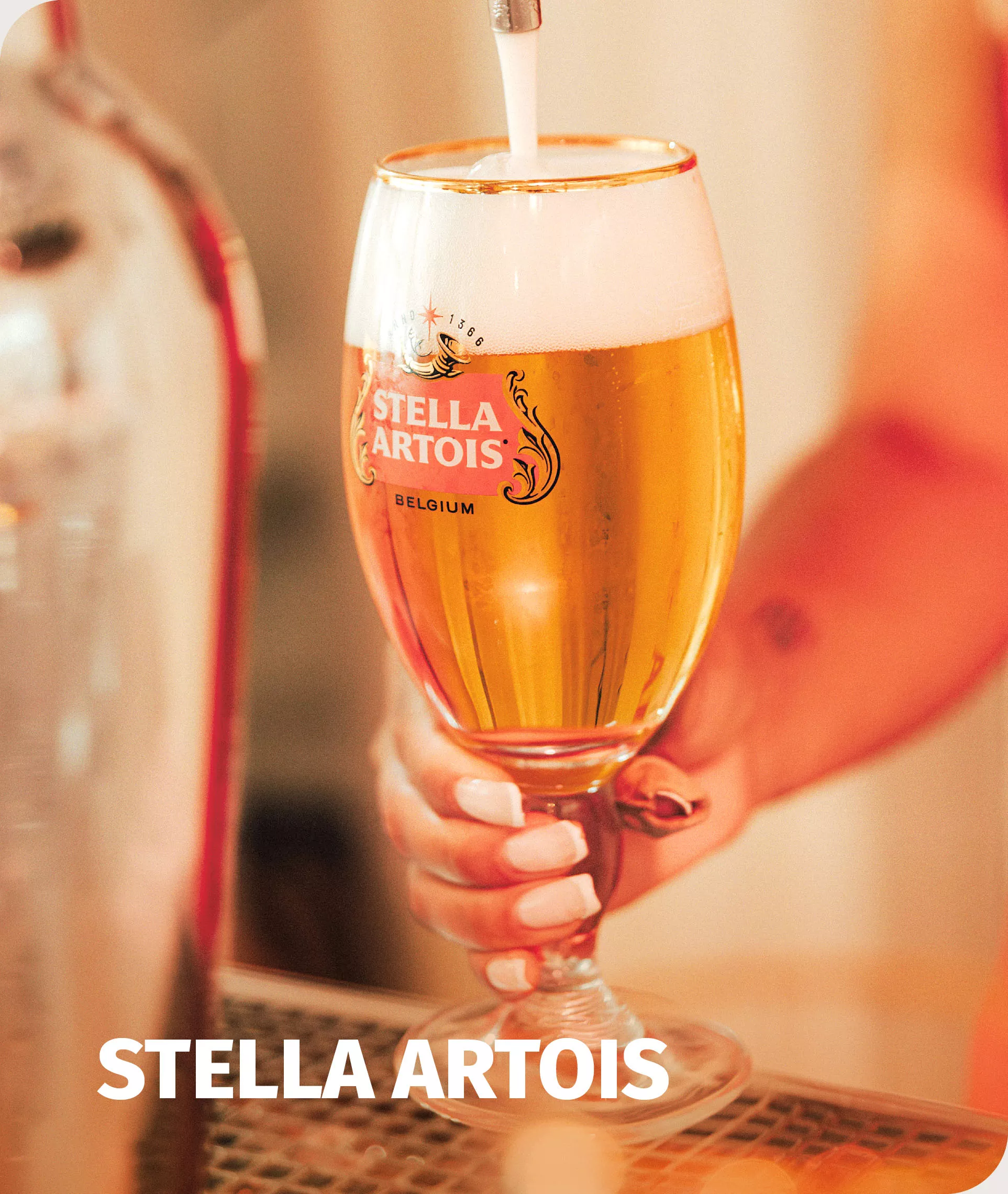 Stellaartois
